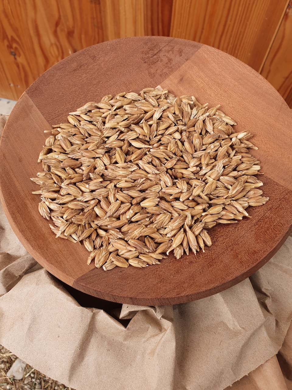 Bio Dinkel im Spelz 20kg in einer Holzschale