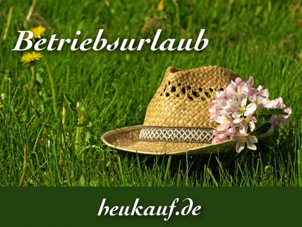 news-betriebsurlaub-2018