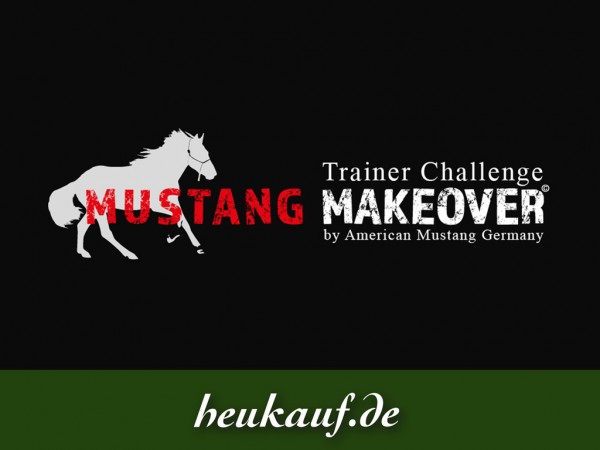 hubert-hofmann-heukauf-allgaeuer-bio-heu-news-logo-mustang-makeover-2018